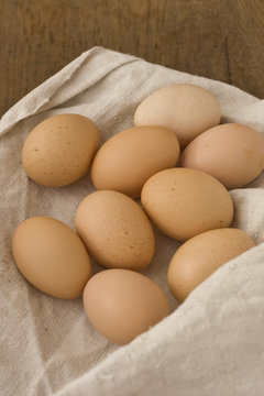 Organic eggs on canvas