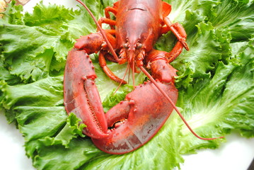 Lettuce Under Lobster