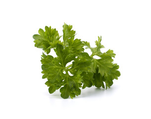 Fresh parsley closeup isolated on white