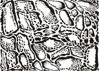 Clouded leopard pattern background