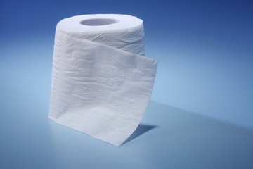 toilet paper