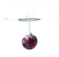 Fresh plum in water splash