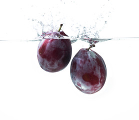 Fototapeta na wymiar Fresh plums in water splash