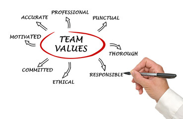 team values and norms