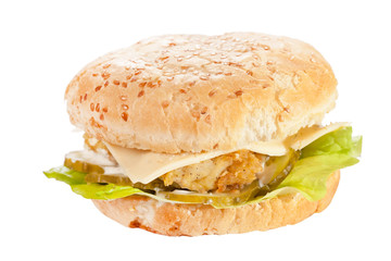 cheeseburger on the plate