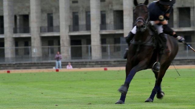 Polo match