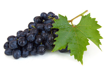 Fresh grapes with water drops