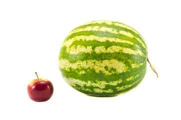 isolated on white water melon and red apple