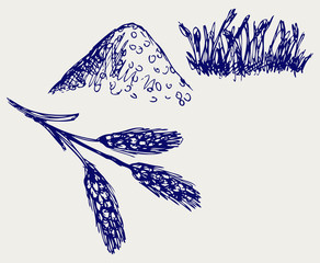 Wheat and rye. Doodle style © Kreatiw