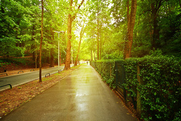 street in Zagreb after rain. Croatia.