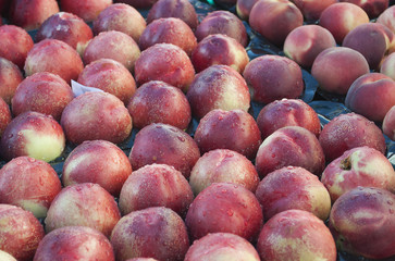 Juicy and appetizing nectarines in the market