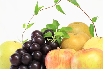 秋の果物アラカルト