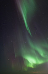 Obraz na płótnie Canvas Northern Lights
