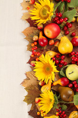 Naklejka na ściany i meble Rama Jesień z owocami, dynie i słoneczniki