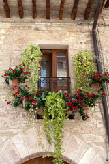 flowers hangs on the window of a home