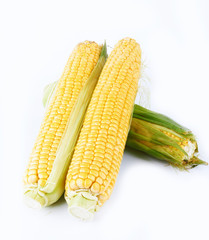 corn vegetable