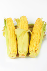 fresh corn