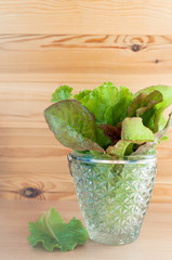 leaves of lettuce in glass bowl