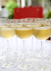 wine glasses