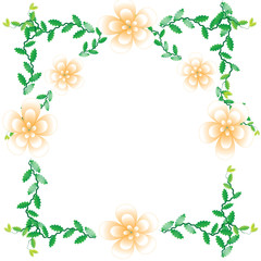 Flower of frame on white background