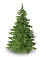 Christmas tree on white background with clipping path included.