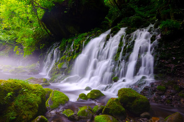 Fototapeta premium 元滝伏流水