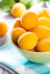 fresh apricots