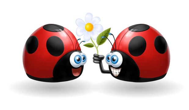 coccinelle fiore