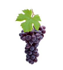 Obraz premium Rote Weintrauben