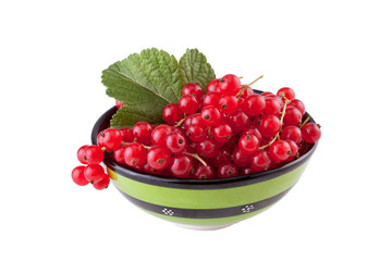 redcurrant in green bowl isolated on white