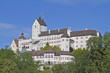 Fototapeta na wymiar Castle Hohenaschau