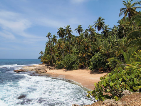 Pristine beach with lush vegetation, Caribbean coast of Costa Rica, Central America