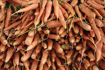 Carrots