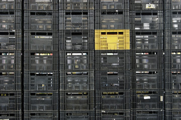 Different color crate