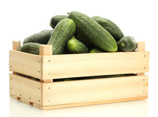 fresh cucumbers in wooden box isolated on white