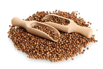 Heap coriander seeds in wooden spoon isolated on white