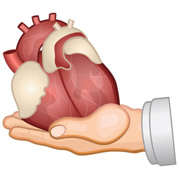 Organspende