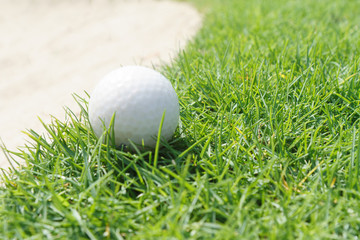 Golf ball on green