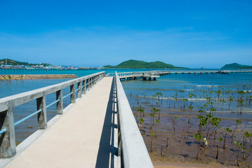 Obraz premium sea bridge with blue sky