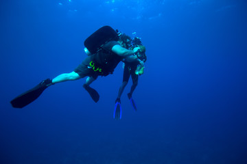 Two diver gathering shells, Cuba