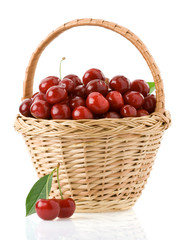 Fototapeta na wymiar sweet cherry in basket isolated on white