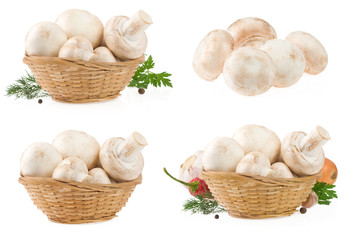 mushrooms in wicker basket isolated on white