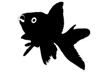Silhouette of a fish