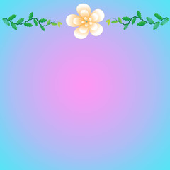 Flower of frame on color background