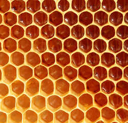 honeycomb background