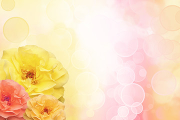 Beautiful background with yellow roses