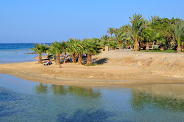 spiaggia a marsa alam, egitto
