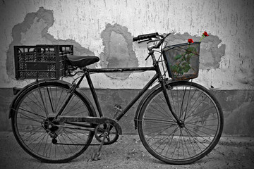 Obraz na płótnie Canvas Red roses in basket of old rusty bicycle