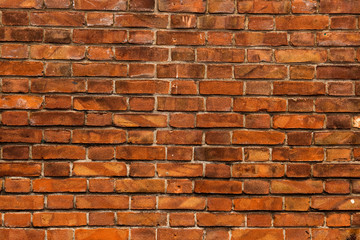 Fototapeta premium Ceglana ściana