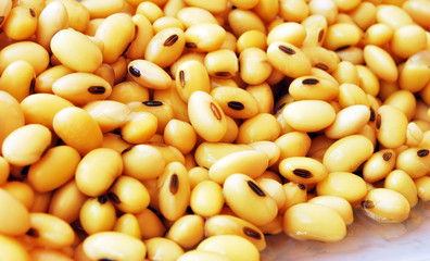 soy beans